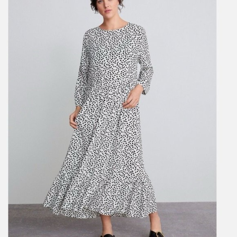 Zara polka dot maxi dress